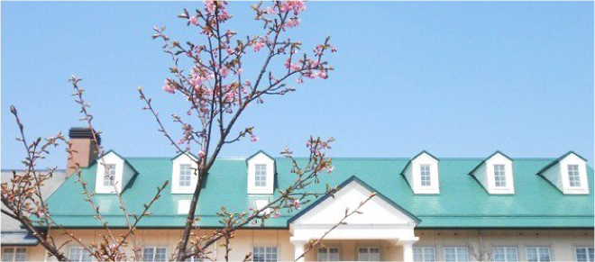 桜散策スポット