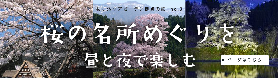 南砺市の桜の名所