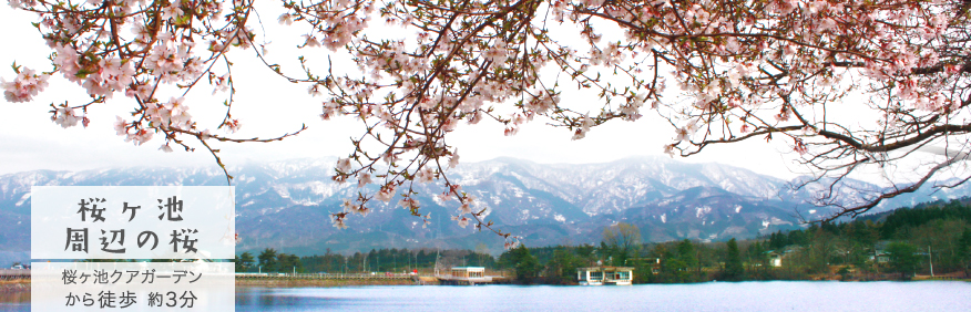 五箇山の地酒、三笑楽