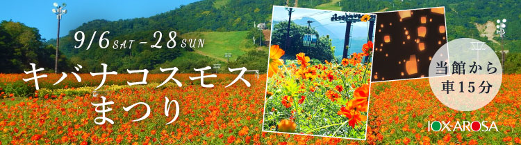 キバナコスモスまつり