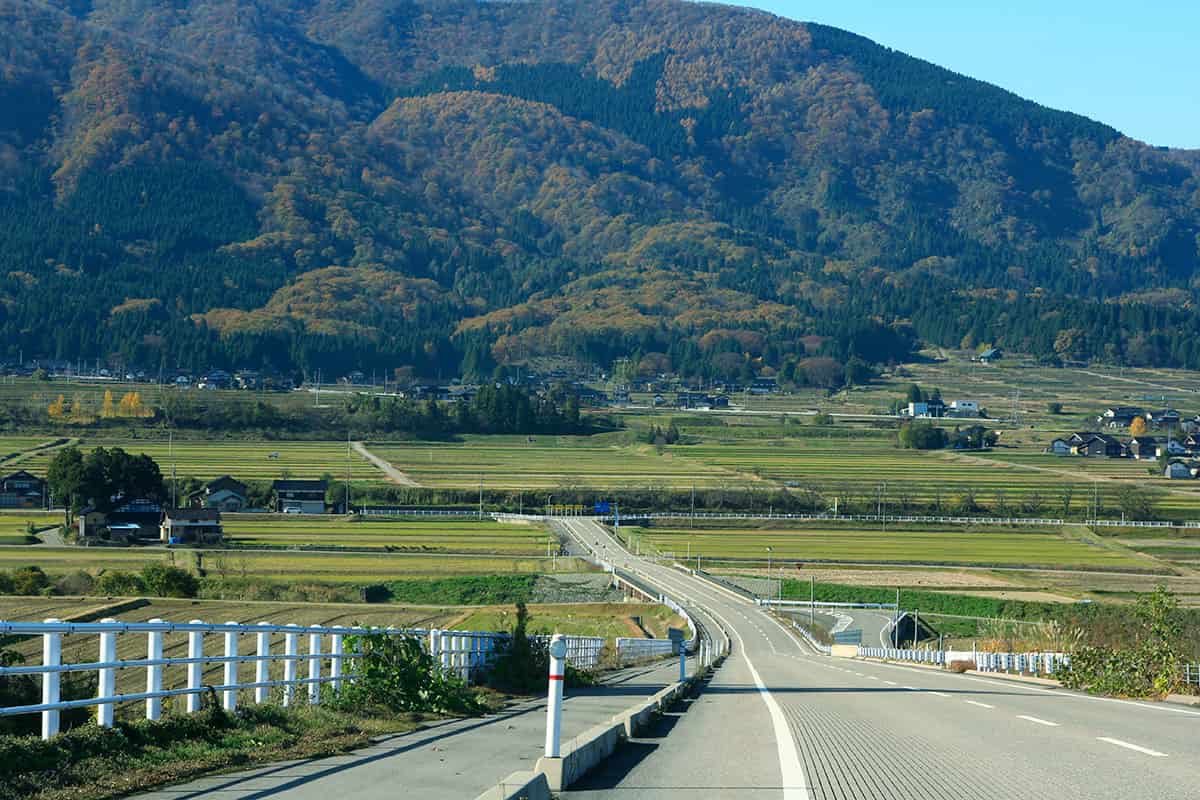 支配人お気に入りの道