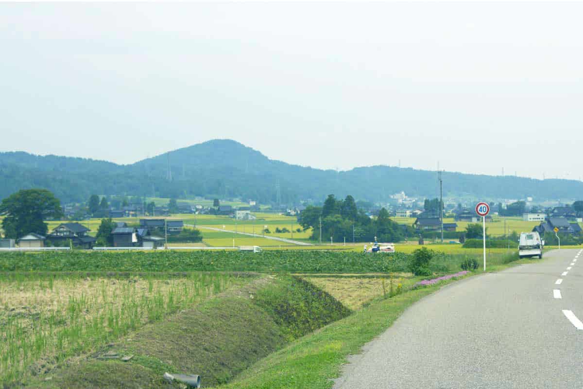 砺波平野の道