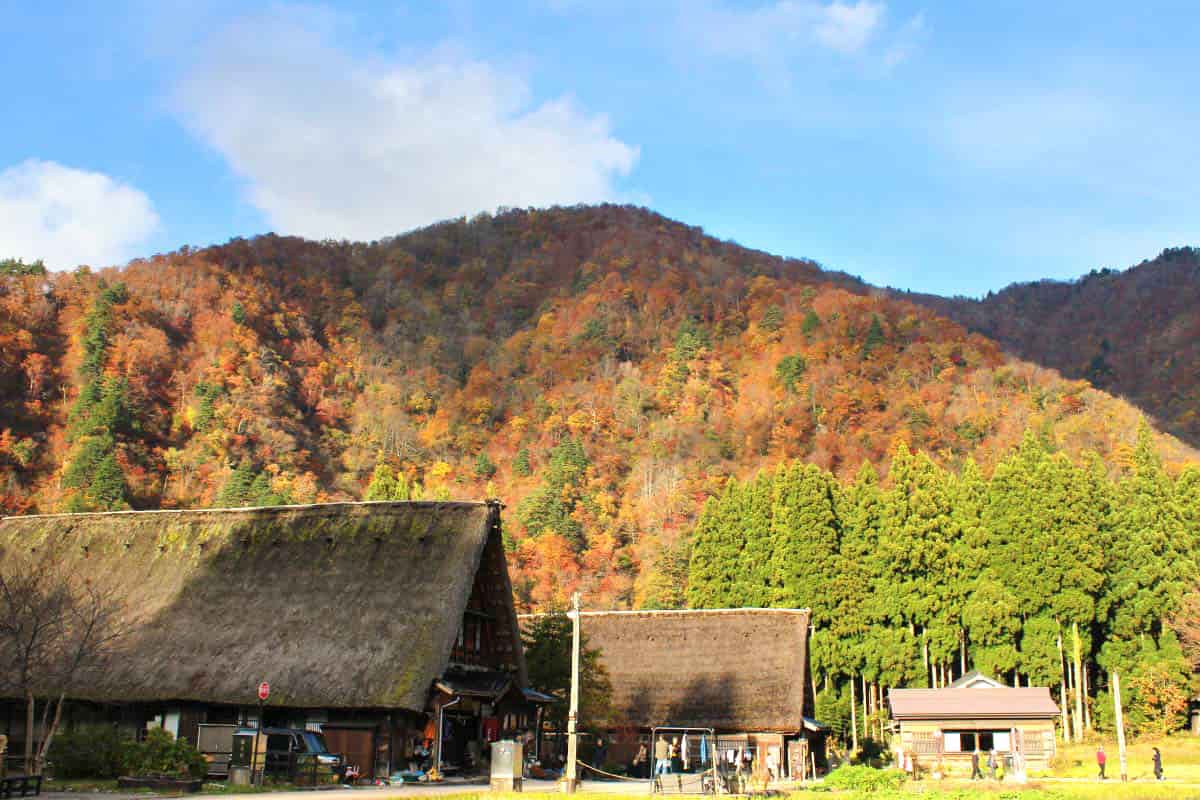 秋の五箇山・菅沼の合掌造り