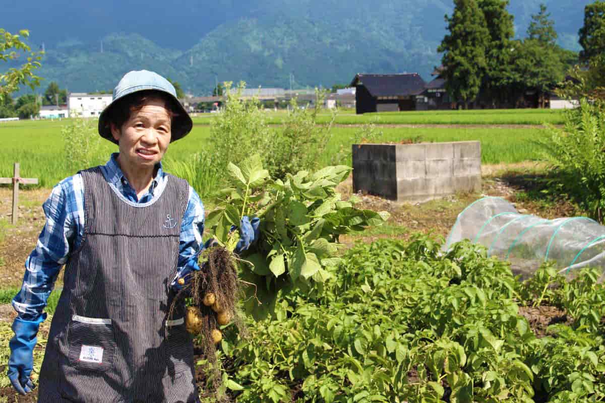 じゃがいもと山村さん