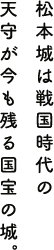 松本城は戦国時代の天守が今も残る国宝の城。アルプスを挟んで古い街並みが連なる天領地の飛騨・高山があります。