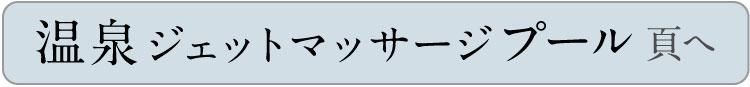 温泉バイタルプールページへ
