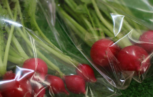 ヨッテカーレ城端