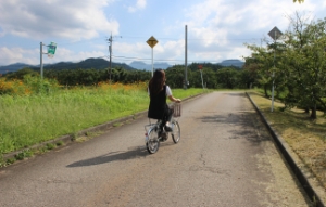 なんちゃり
