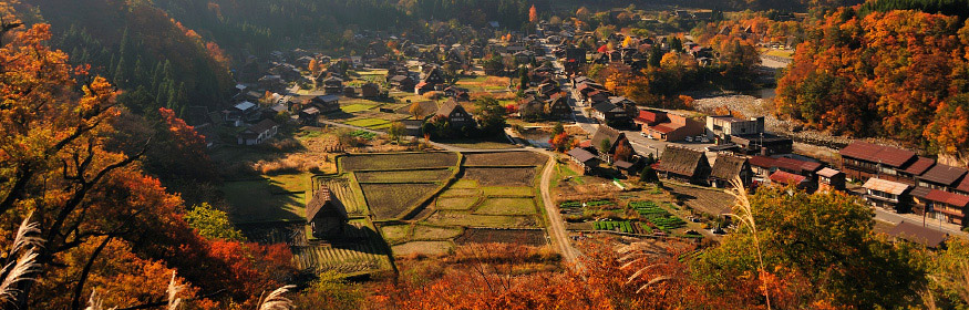 白川郷紅葉展望
