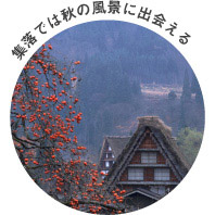 集落では秋の風景に出会える