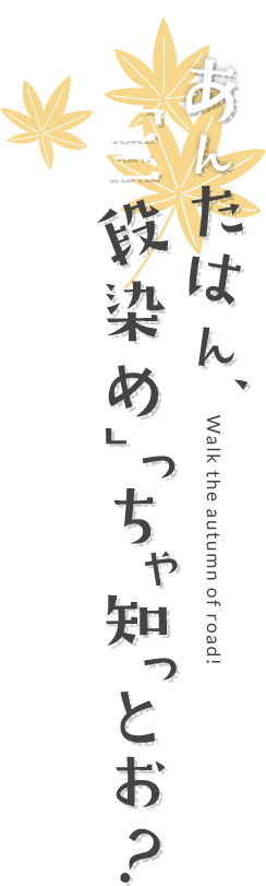 あんたはん「三段染め」っちゃ知っとる？